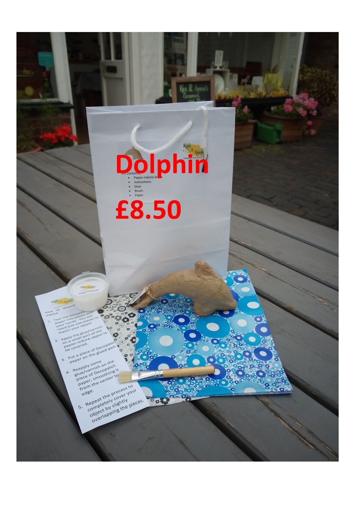 dolphin-pm