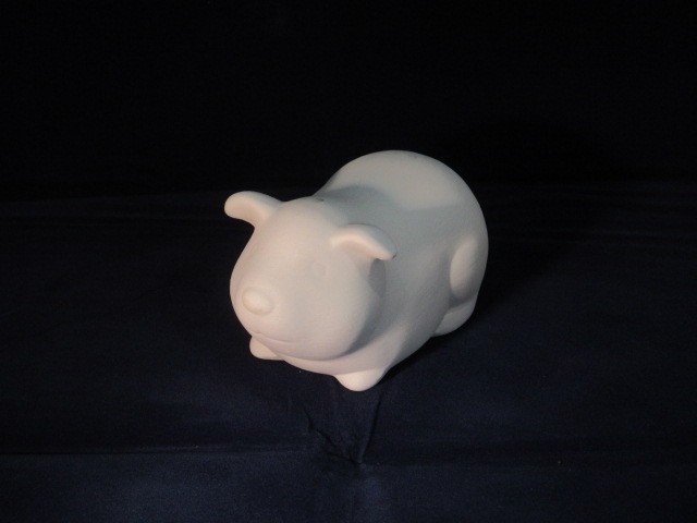 cute guinea pig